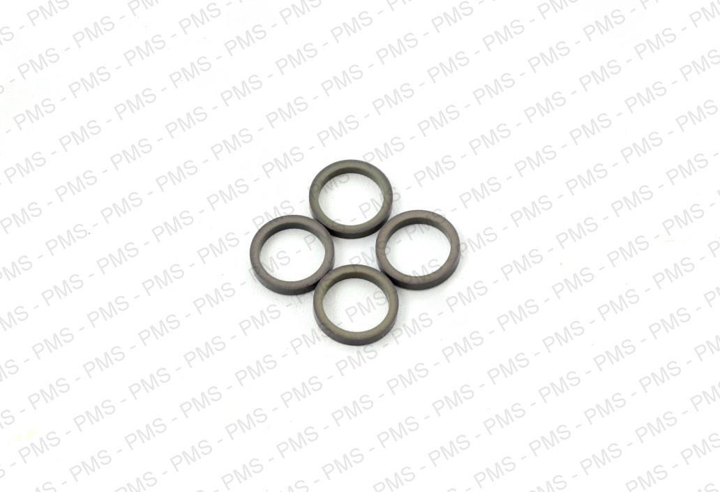 Carraro-Teflon-Ring-Types--Oem-Parts