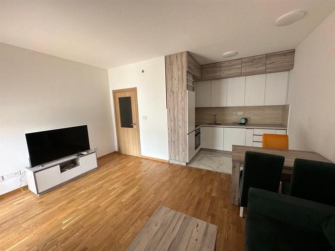 Prodaja, jednosoban stan 50m2 na Zabjelu