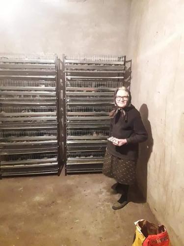 Započnite biznis sa 240 prepelica