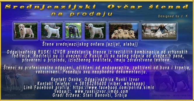 Srednjeazijski Ovčar