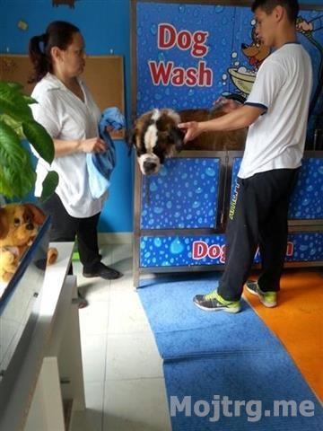 SAMOPOSLUŽNA-PRAONICA-ZA-KUĆNE-LJUBIMCE-DOG-WASH