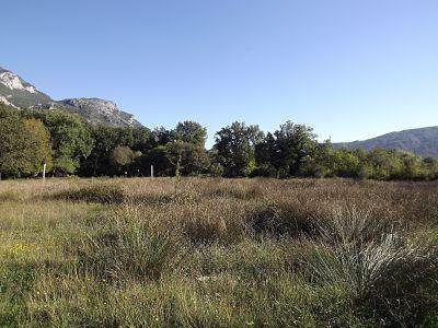 Buljarica zemlja 3073m2  