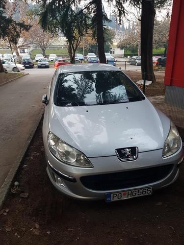 Pezo 407