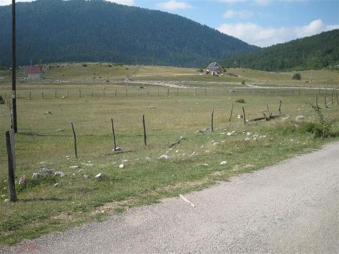 Mijenjam plac od 1025m2 na Žabljaku