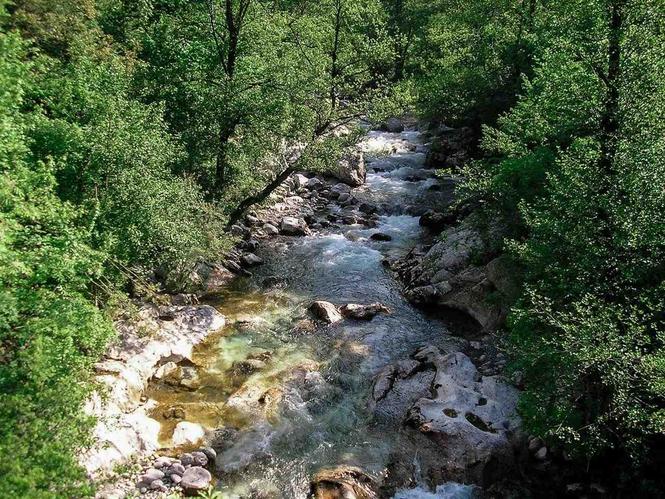 Prodajem Zemljište, Prekobrđe, Jabuka Rutovića