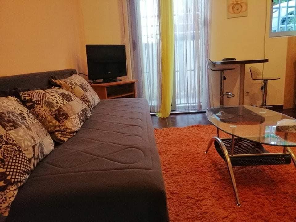 Prodaja-Podgorica-kod-Ars-Medike-garsonjera-25m2-namjestena-