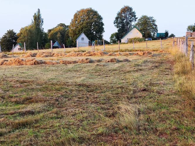 Na prodaju plac na Žabljaku, Crna Gora – Javorje