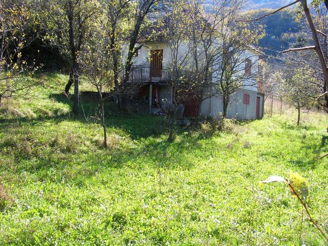 Kuća, voćnjak i livada,  Brskut, Podgorica
