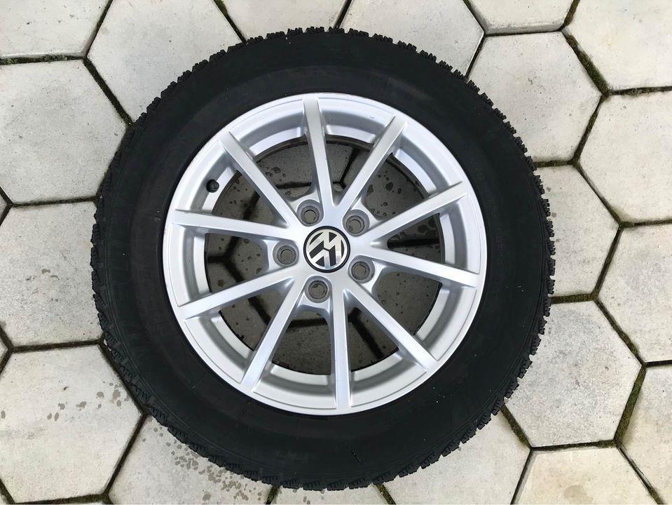 Polo-5-100--175-65-14