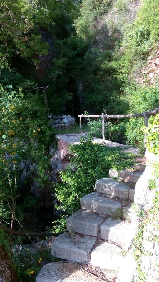 Neurbanizovan-plac-povrisne-2100-m2-Sveti-Stefan