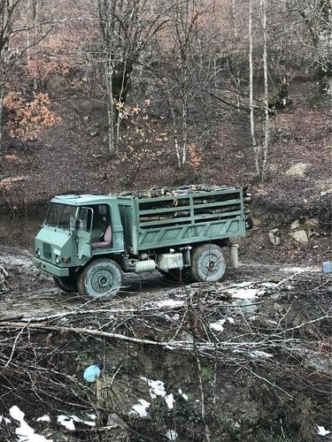 Prodajem bukova i cerova(pitoma)drva.
Ekstra kvaliteta.