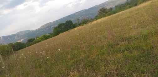 Zemlja