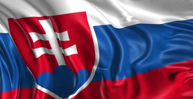 Slovacka na godinu dana i 3 meseca
