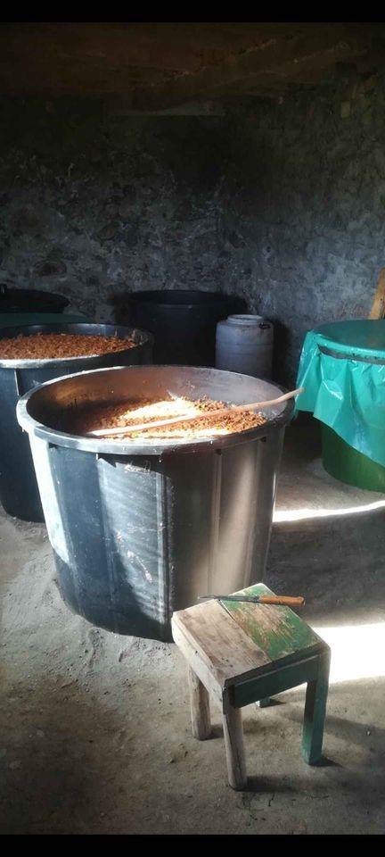 Rakija