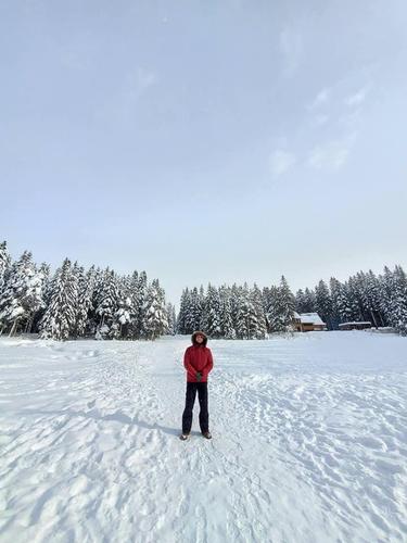 Audi A6 2.7 2006 quattro