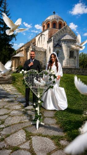 Iznajmljivanje belih golubova za svečane prilike   Ulepšajte