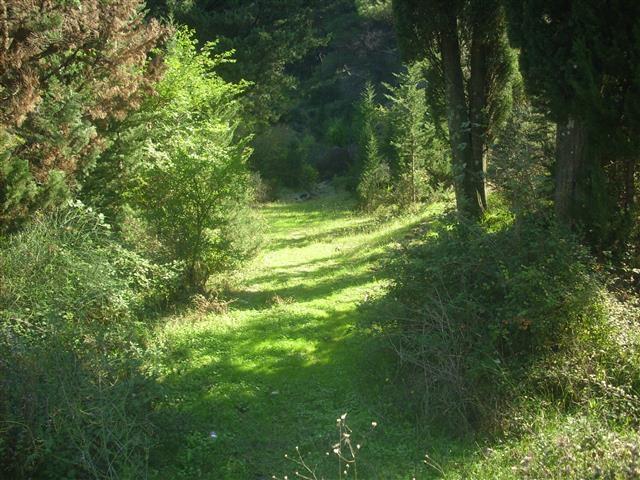 Plac-1844-m2-na-Vidikovcu