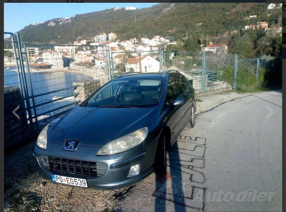 --Peugeot-407--