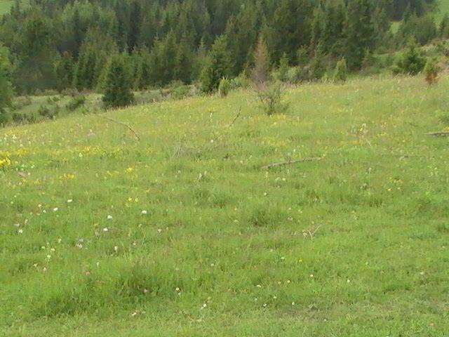 Prodaja zemljišta