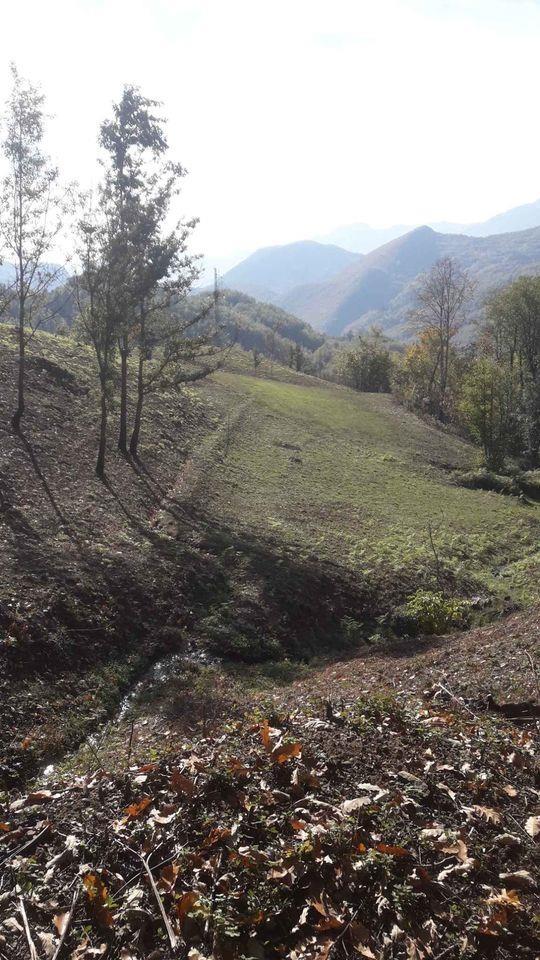 Imanje-Manastir-Moraca-25-000-kvadrata