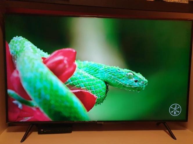Televizor/Dobro očuvan/30€
