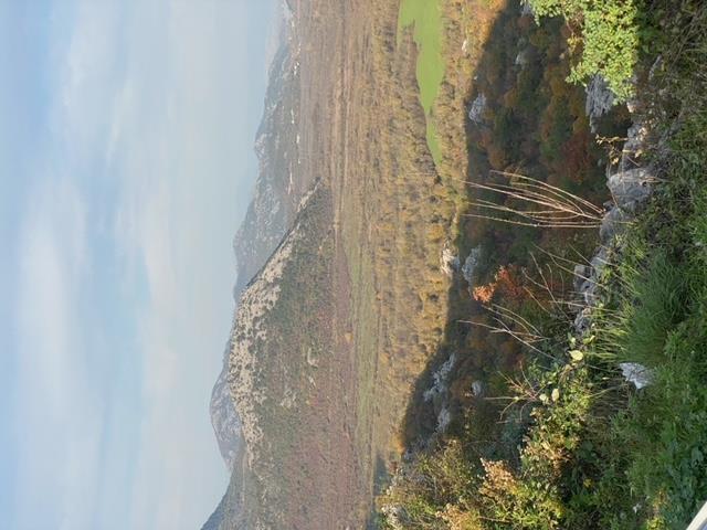 PLAC 17000M2 SOTONICI