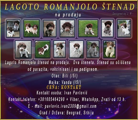 Lagoto Romanjolo