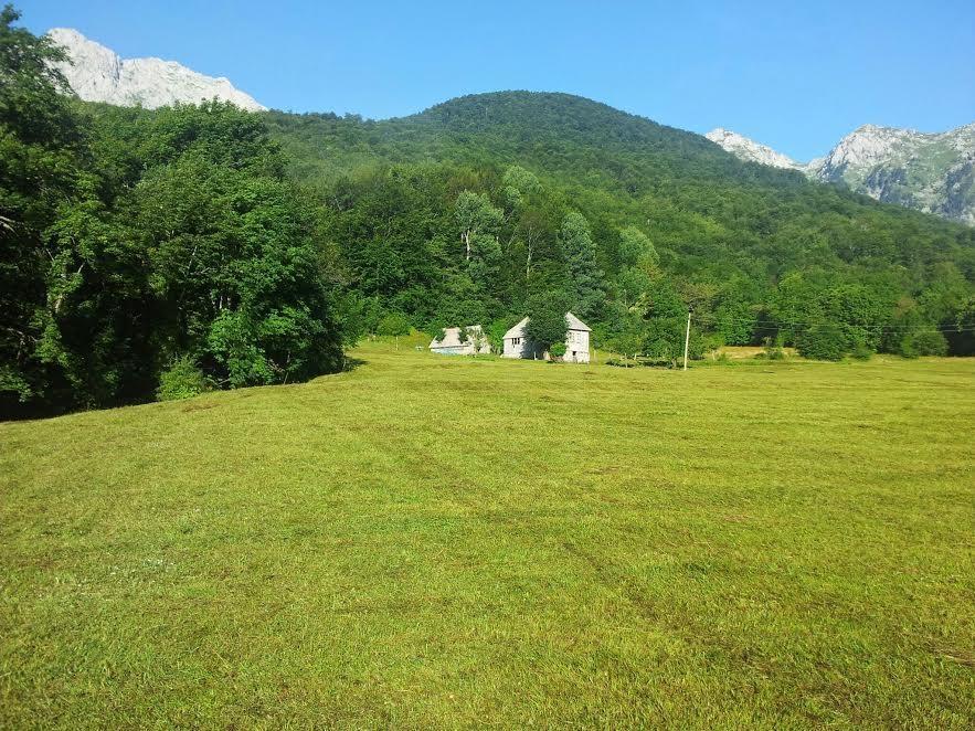 Na-prodaju-Imanje-u-selu-Gornje-Lipovo-kod-Kolasina-Crna-gor