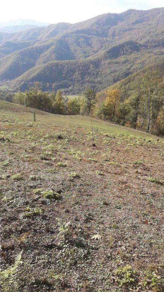 Imanje-Manastir-Moraca-25-000-kvadrata
