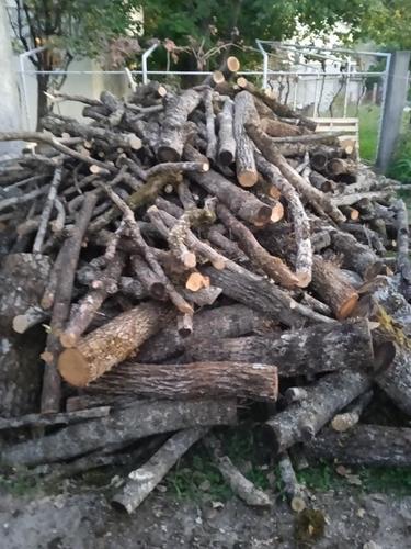 DRVA METARSKA PITOMA. 70,00 E.  068019520.