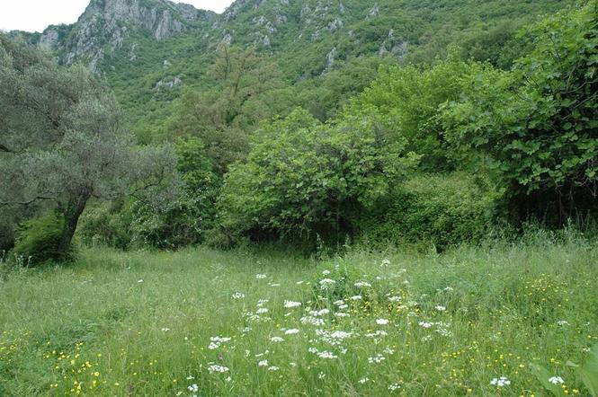 Plac sa starom kućom 