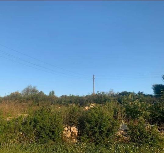 prodajem plac u novo selo, danilovgrad
