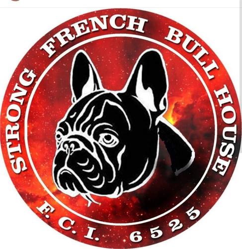 Francuski Buldog stenci
