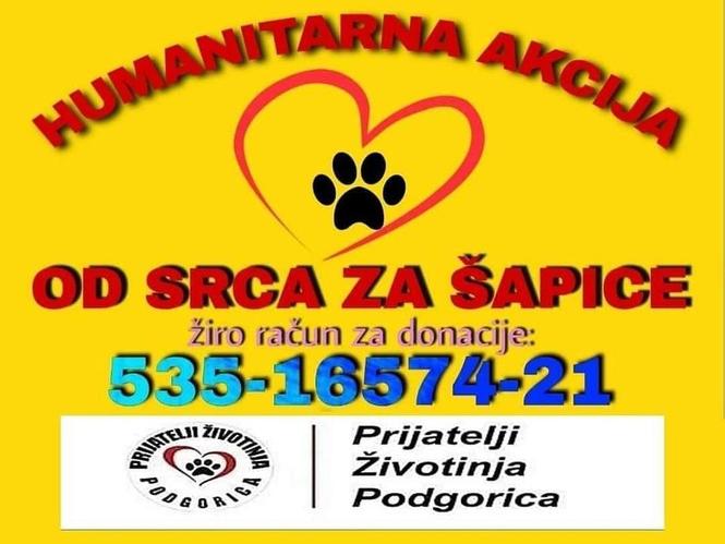 ‼️PRIJATELJI ŽIVOTINJA PODGORICA POKREĆE HUMANITARNU AKCIJU 