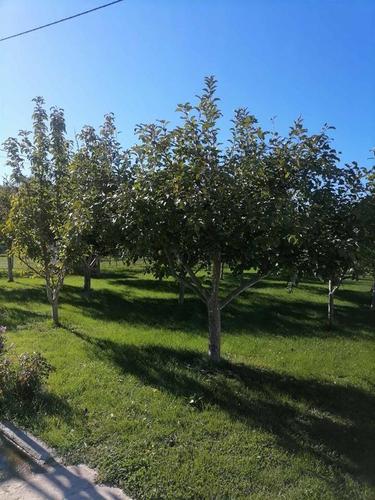 PRODAJA, PLAC