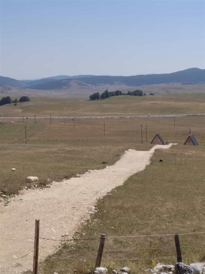 Plac-na-prodaju-na-Zabljaku--Moticki-Gaj