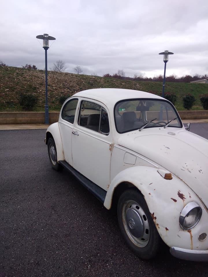 VW-Buba