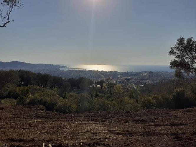 Prodajem plac  sa maslinama  u Sustasu (Bar, 2-3 km od grada
