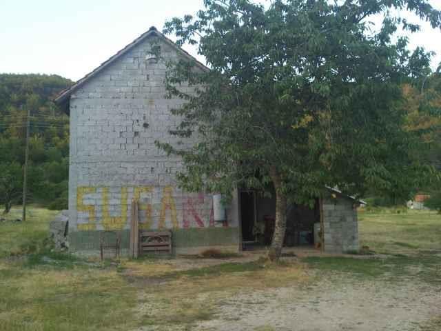 Susara mesa