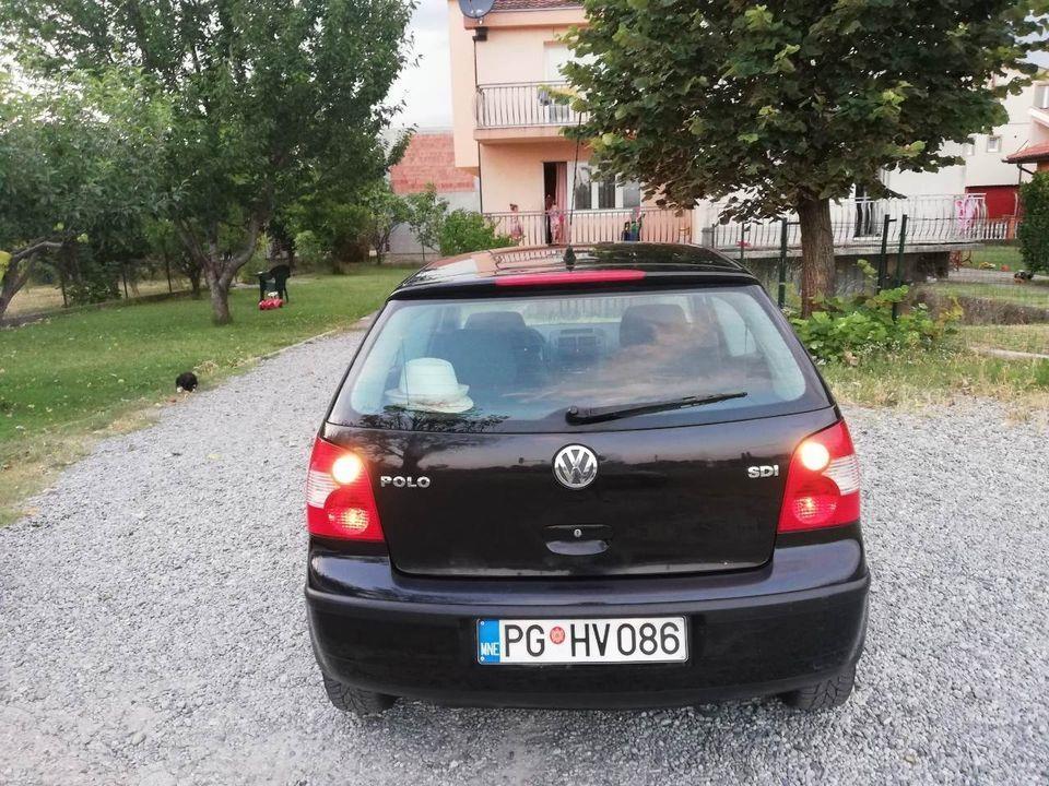 Polo