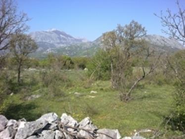 Plac od 23000m2 u Bar