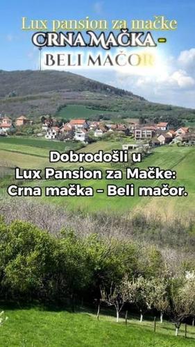 Crna Mačka – Beli Mačor, lux pansion