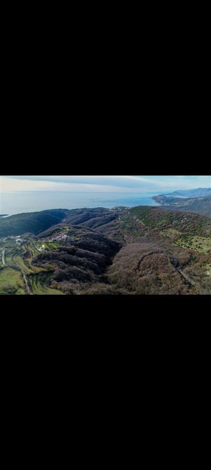 PRODAJA-PLACA
