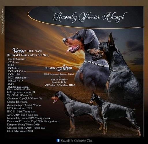 Doberman stenci