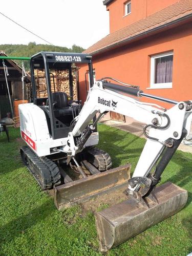 Bobcat