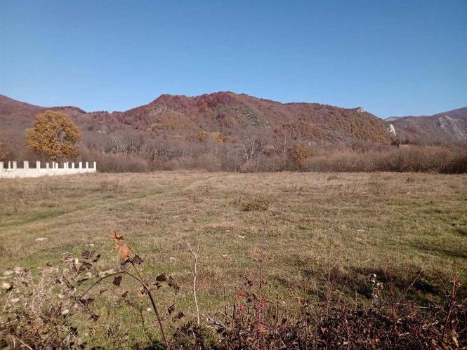 Prodajem plac, zemljiste Drijenak, Kolasin