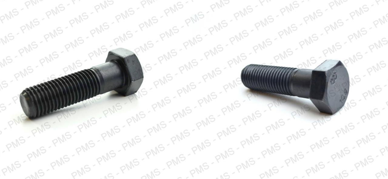 ZF-Screw---Bolt-Types--Oem-Parts