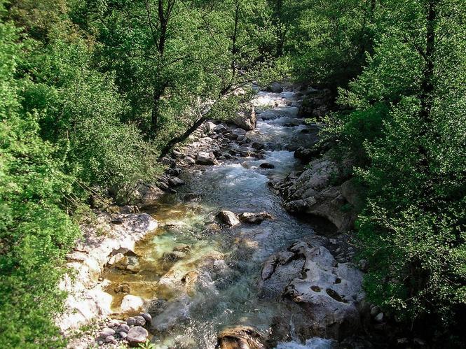 Prodajem imanje, Prekobrđe, Jabuka, opština Kolašin 