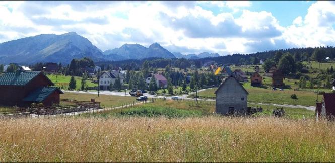 Zabljak Razvrsje