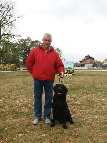 Labrador retriver 